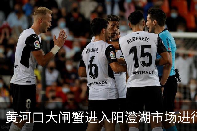 黄河口大闸蟹进入阳澄湖市场进行对比，专家评价品质极佳